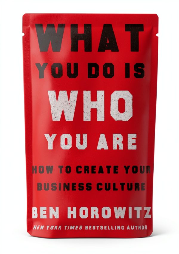 Harper Business Kindle eBook Leadership Motivation Guide 289 Pages-0