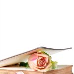 Russian Teen Fiction eBook - Strelbytskyy Publishing Kindle Edition-0