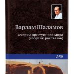 Russian Teen Fiction Kindle eBook by FTM Agency – 149 Pages-0